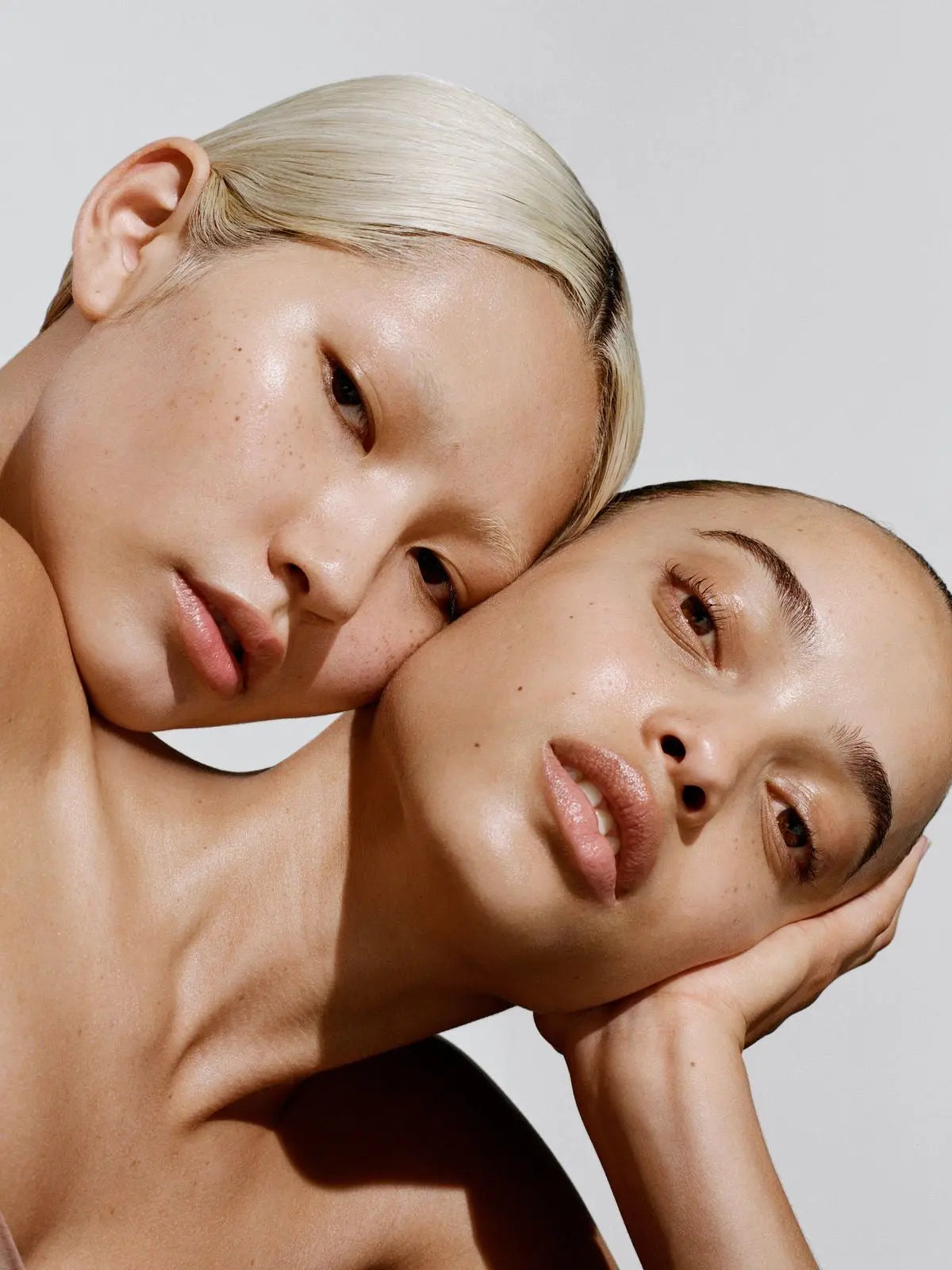 LES SENSATIONS FORTES DU MOIS - VENYSIA